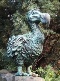 Bild von Dodo-Bird via morgueFile