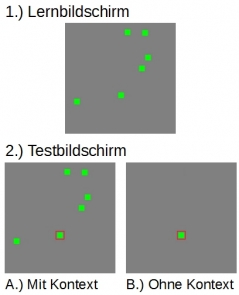 Versuchsmaterial aus der Papenmeier, Huff & Schwan (2012) Studie. Es werden keine Rechte Dritter verletzt.