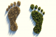 Umweltfreundlich oder nicht? Unser ökologische Fußabdruck. Quelle: ColiN00B via pixabay (https://pixabay.com/illustrations/ecological-footprint-4123696/, Lizenz: https://pixabay.com/de/service/license/).