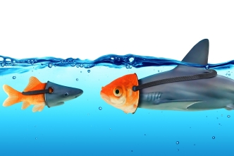 "Masken" können in bestimmen Situationen eine Funktion erfüllen. Foto: Romolo Tavani via adobe (111665285); (https://stock.adobe.com/de/images/deception-concept-disguise-between-shark-and-goldfish/111665285), Lizenz: https://stock.adobe.com/de/license-terms#standardLicenses).