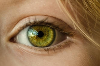 Bild: Skitterphoto via Pixabay (https://pixabay.com/de/auge-gr%C3%BCne-augen-hautnah-makro-1132531/, CC:https://creativecommons.org/publicdomain/zero/1.0/deed.de)